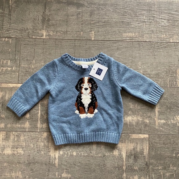 Janie and Jack Other - Janie and Jack Blue Cotton St. Bernard Sweater